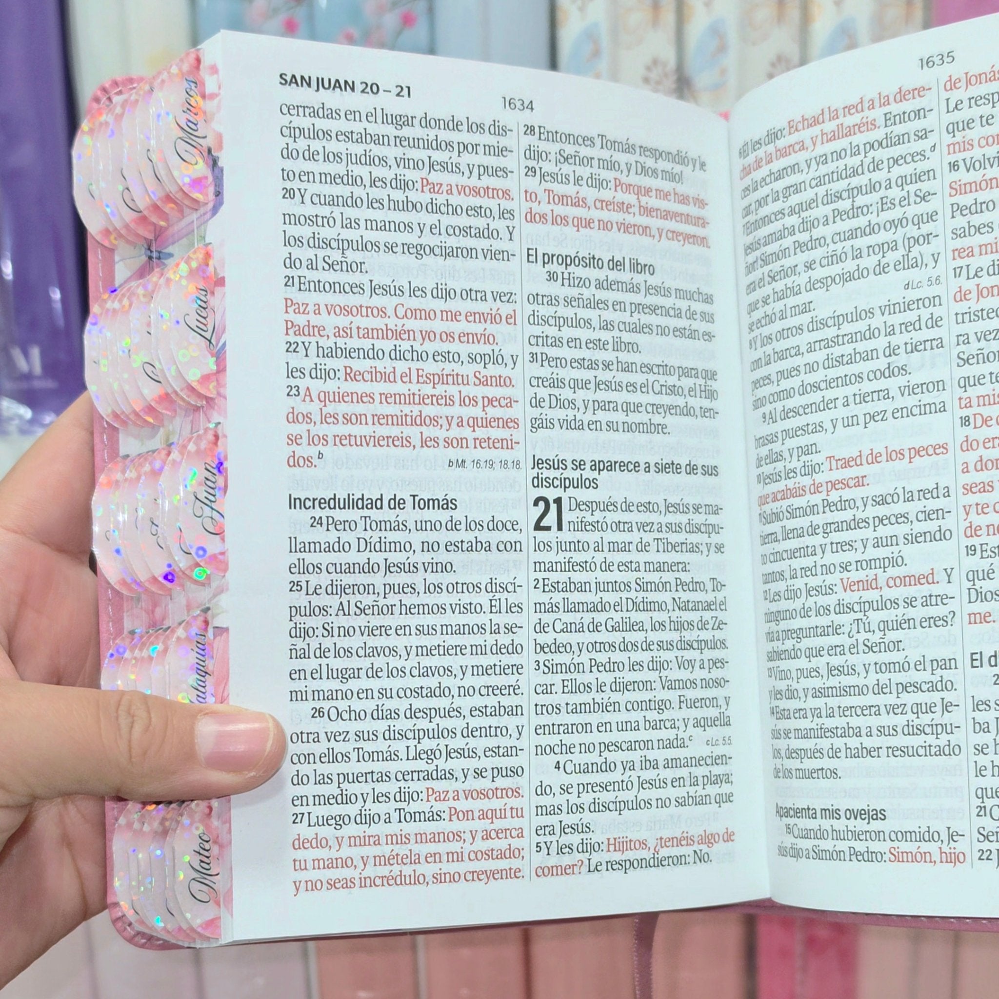 Biblia Personalizada Rosada de Mariposa – Letra Grande de 12 Puntos – Reina Valera 1960