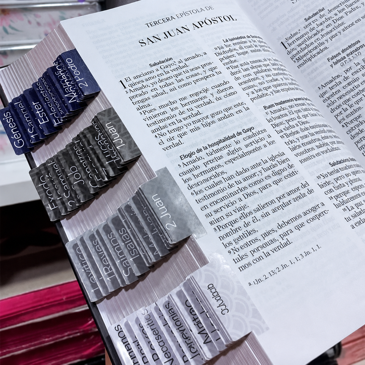 Biblia PERSONALIZADA León Deluxe Reina Valera 1960 Letra GRANDE con Liga
