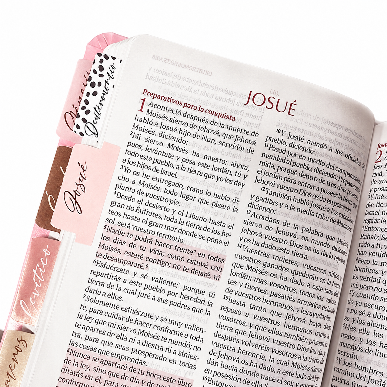 Biblia Reina Valera 1960 Fuente de Bendición Rosa PERSONALIZADA con Nombre + Tabs