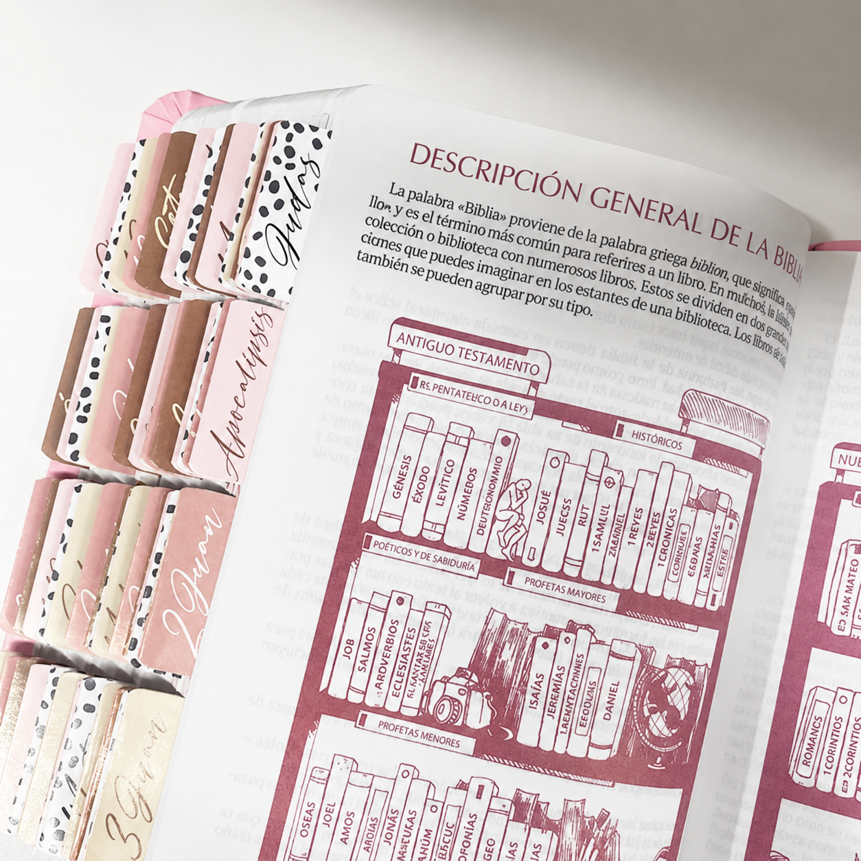 Biblia Reina Valera 1960 Fuente de Bendición Rosa PERSONALIZADA con Nombre + Tabs