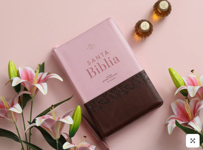 Biblia Rosada Marron con pestañas🩷-cierre /letra 19 puntos / Canto dorado