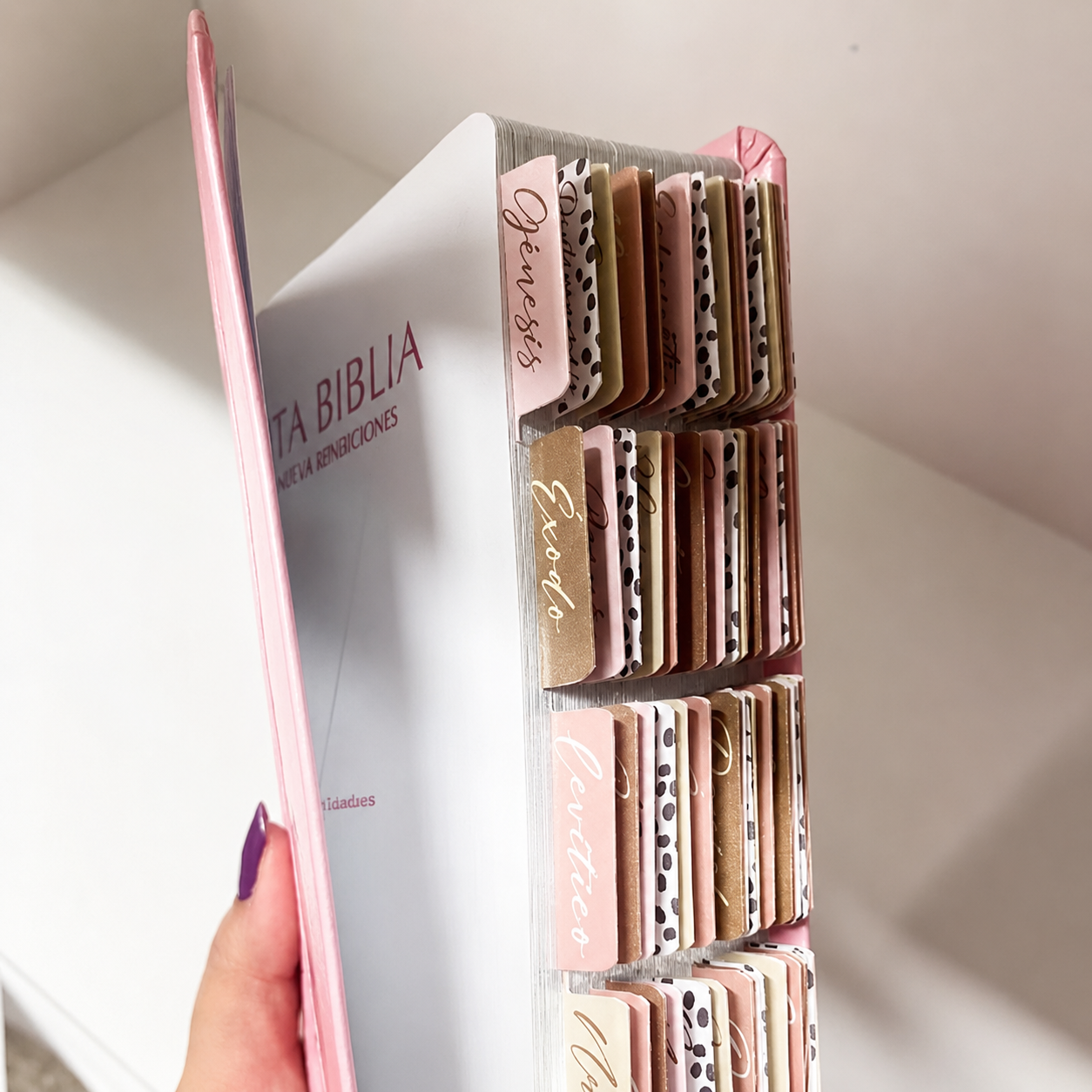 Biblia Reina Valera 1960 Fuente de Bendición Rosa PERSONALIZADA con Nombre + Tabs