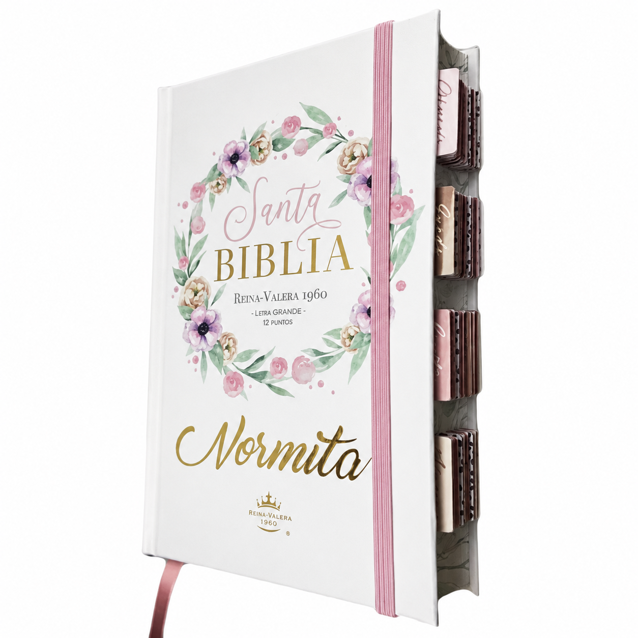 Biblia PERSONALIZADA con Nombre + Tabs Reina Valera 1960 Letra GRANDE Rosa con Liga