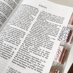 Biblia PERSONALIZADA con Nombre + Tabs Reina Valera 1960 Letra GRANDE Rosa con Liga