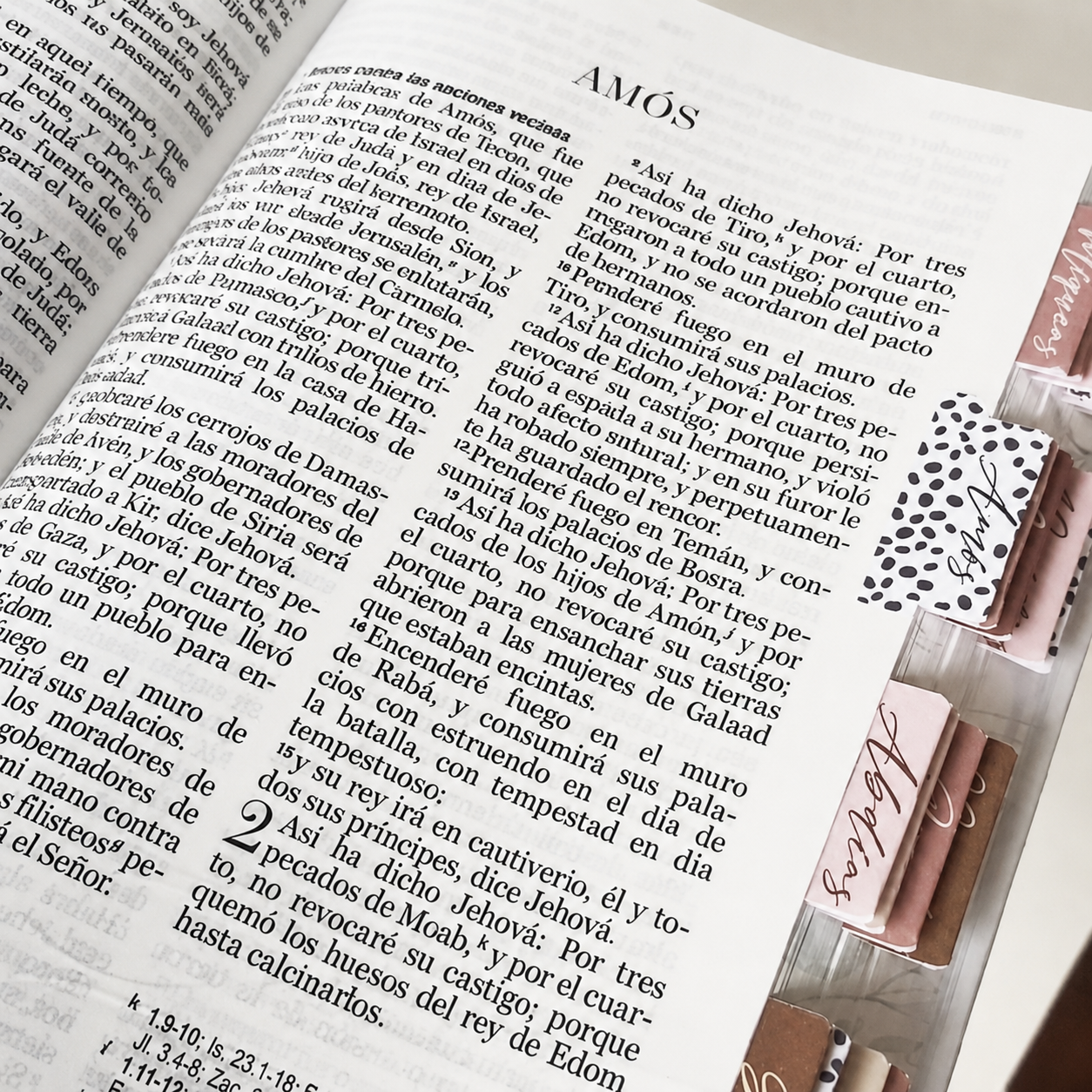 Biblia PERSONALIZADA con Nombre + Tabs Reina Valera 1960 Letra GRANDE Rosa con Liga