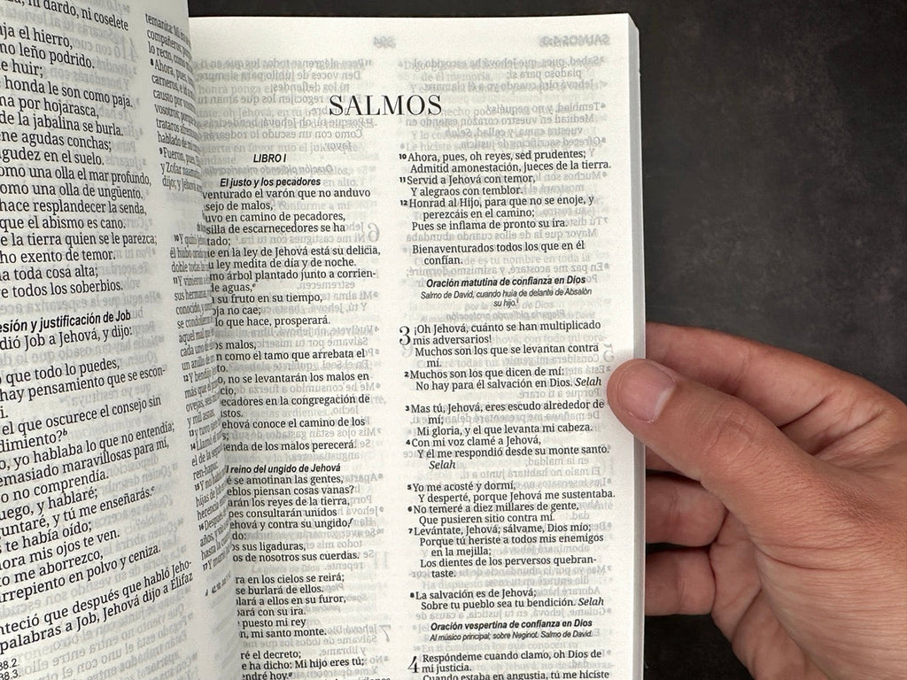 Biblia RVR 1960 economica